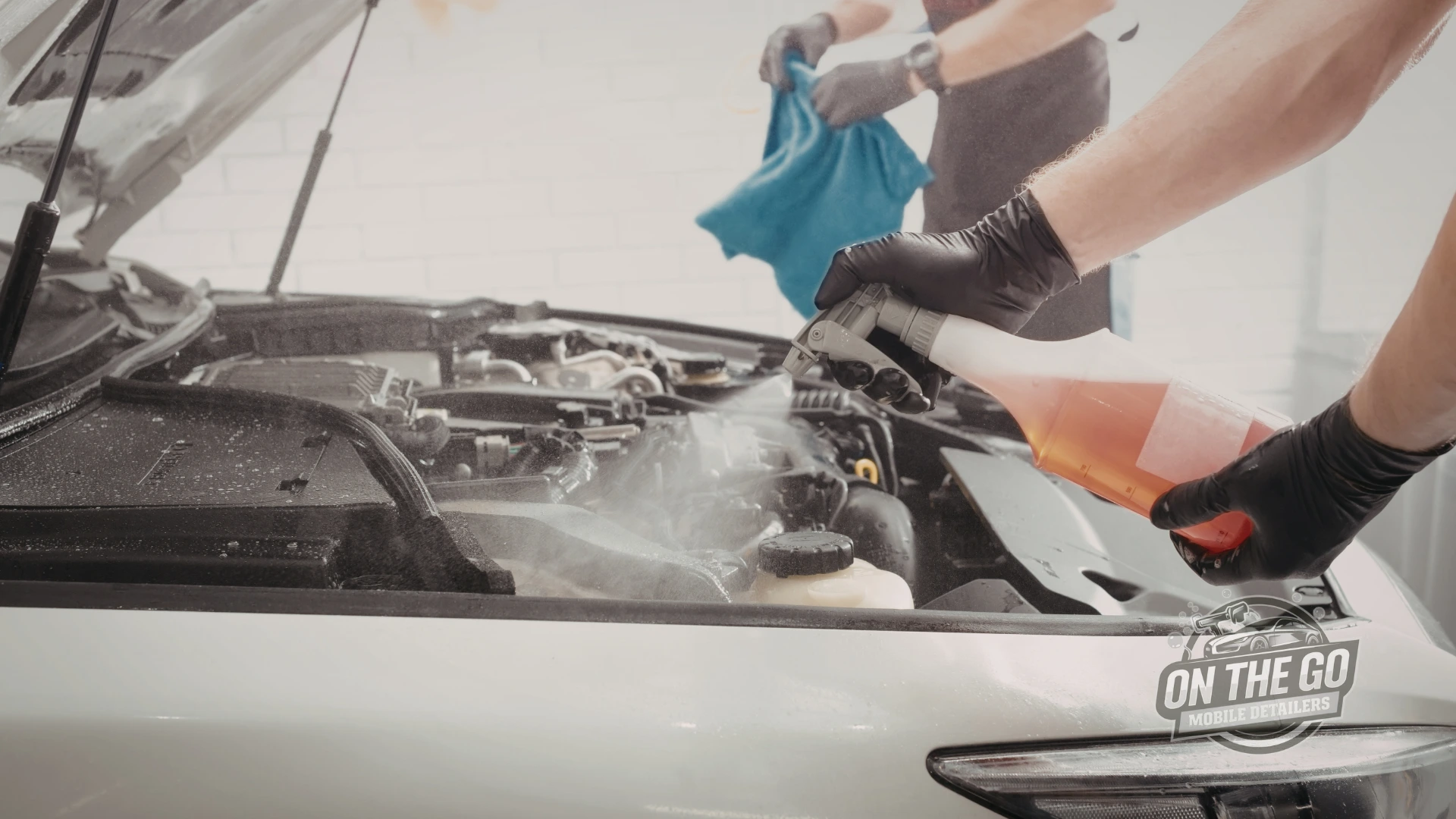 On-The-Go-Mobile-Detailing (19)